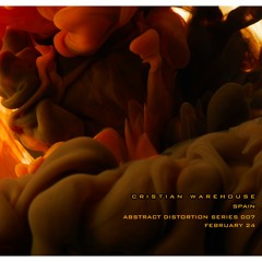 Abstract Distortion Series 007 - February 2024