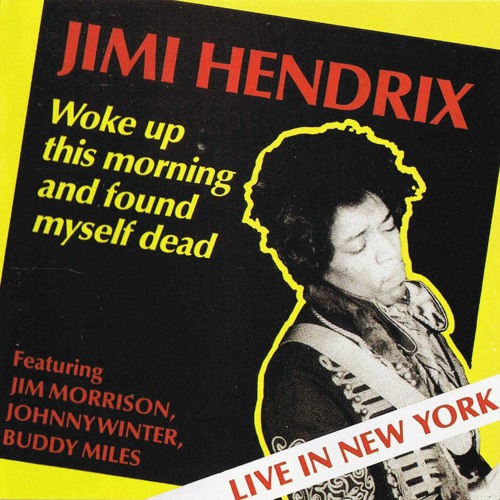 Stream tripduck | Listen to Jimi Hendrix & Jim Morrison - Woke Up This  Morning And Found Myself Dead playlist online for free on SoundCloud