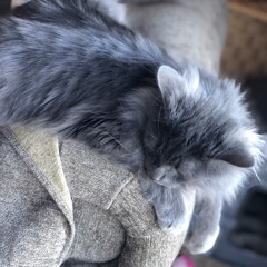 Night Shift - Lucy Dacus