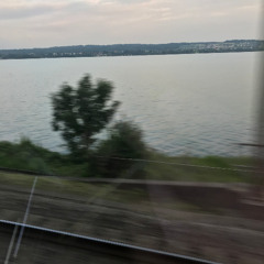 Good Vibe Bern set