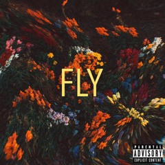 FLY