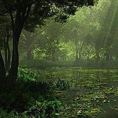 i always liked to play with fire