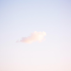 Fly