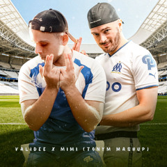 BOOBA x JUL - VALIDEE  MIMI (TONYM MASHUP)