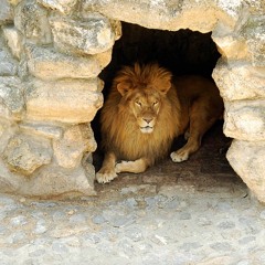 Lions den(Aidensgreed)