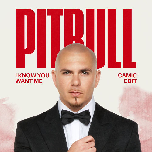 I Know You Want Me (CAMIC Edit) *PITCHED VOCAL DUE COPYRIGHT*