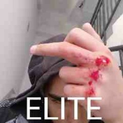 ELITE CYBER LOFI MIX II #FUNNYELITE 2024