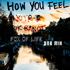ANOTR-How You Feel-Fox of Life DnB mix