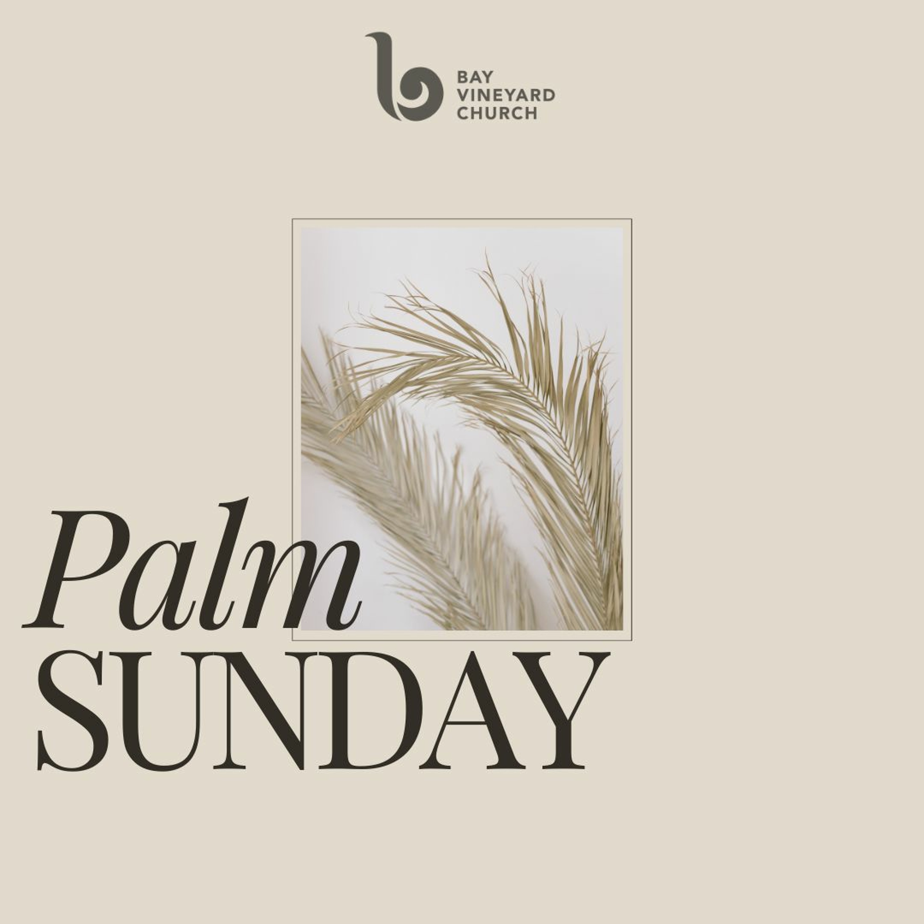 Sunday March 24th // Palm Sunday- The Awkwardness and Unexpectedness of Jesus. episode artwork