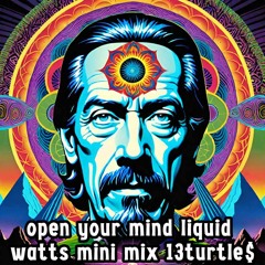 Open Your Mind Liquid Watts Mini Mix 13Turtle$