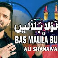 Bas Maula Bulalain  Ali Shanawar  2024  1446