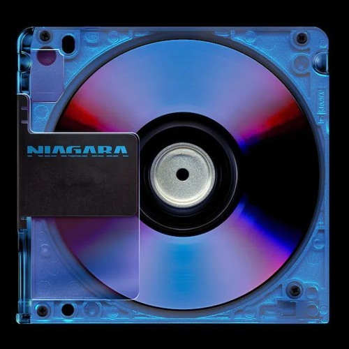 이 세계엔 너가 없었으면 해 (feat. MIIN)