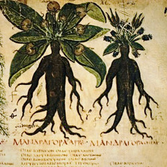 (singhiozzo), succo di benzero