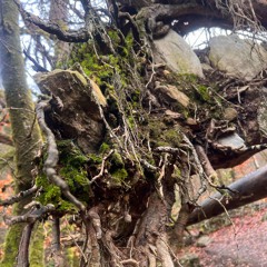 There’s Water Nearby