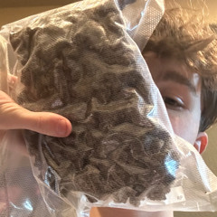 backitup (prod. 01ashes)