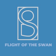 Flight of the Swan (Raw Mix)