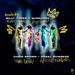 Chris Brown - Angel Numbers (Billy Taner & Burnhaze Progressive House Edit) *BUY=DL*
