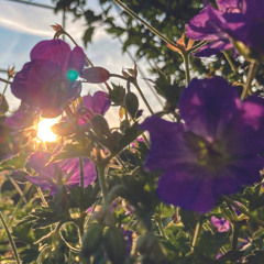 Justin Bieber   Never Let You Go piano