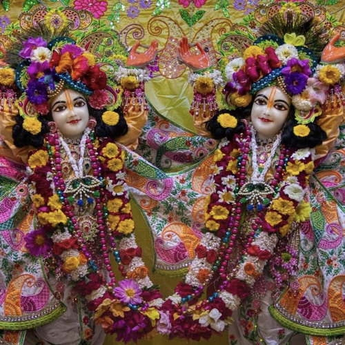 Pavan Nitai Chandra Das • 02.16.2023