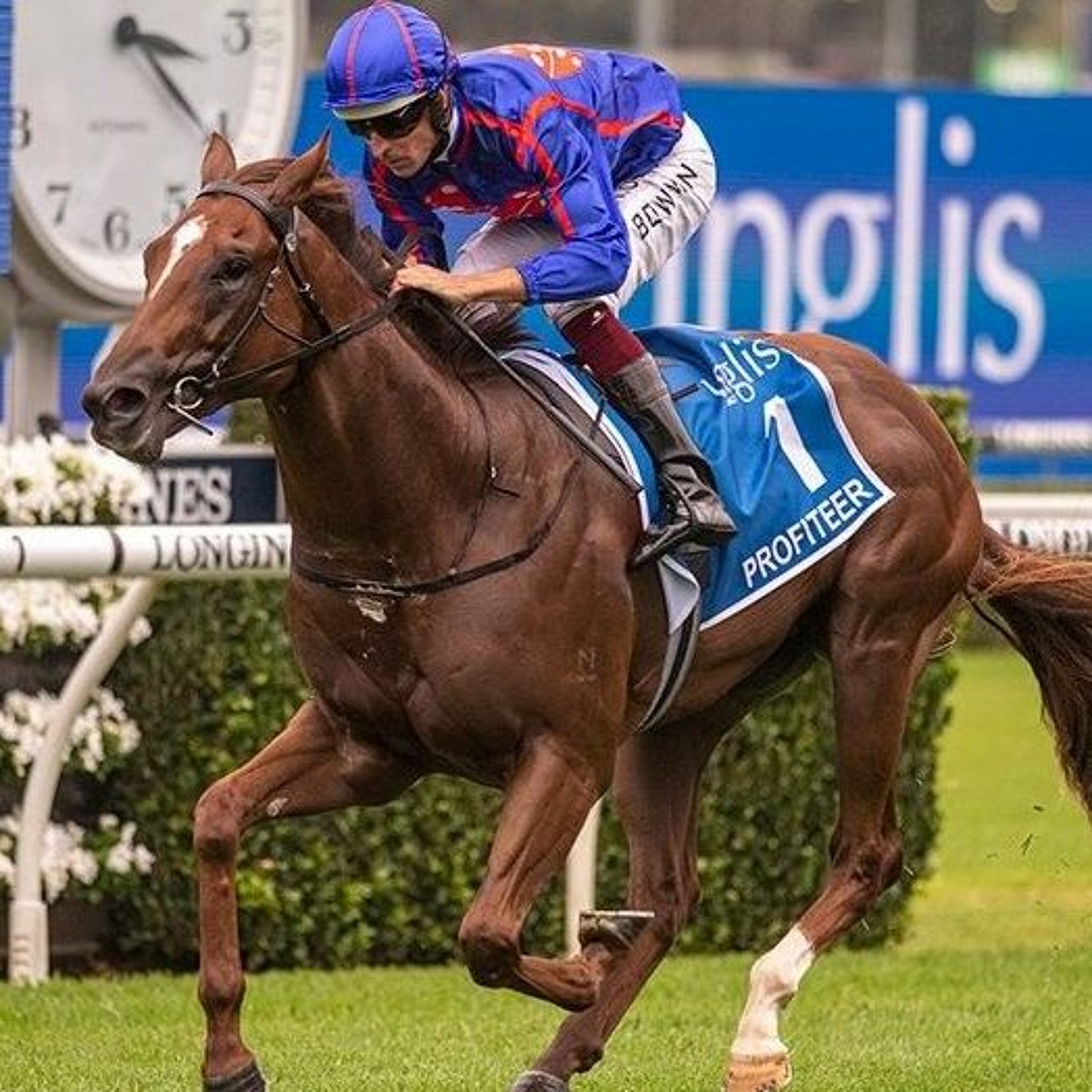 Moir Stakes Night Punting Preview