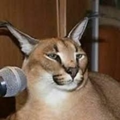 Flop Fo No Hoe ★ Big Floppa .