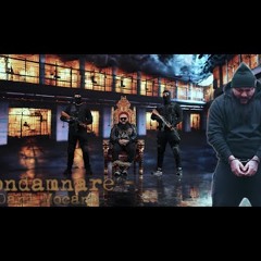 Dani Mocanu - Condamnare