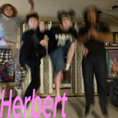 cheap floorboards and dirty carpets