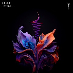 Paiola - Pursuit (Original Mix)