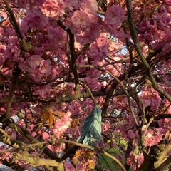 Hide your smile prod me