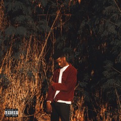 MOZART (feat. Dooushii)