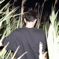 Jetty 170425