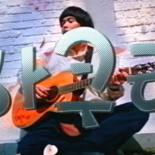 사쿠라 어쿠스틱 버젼