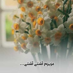 کاور آشتی - نوش آفرین