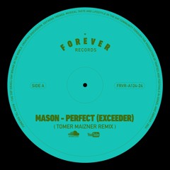 Mason vs.Princess Superstar - Perfect (Exceeder) Tomer Maizner Remix