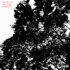 galopadão cavucadão