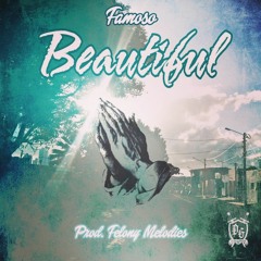 Beautiful Prod. Felony Melodies