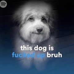 check it out duu