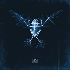 PELLEOSSA (feat. DJ Nersone)