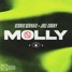 Cedric Gervais x Joel Corry - Molly (NoahFriends Remix)
