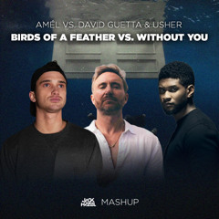 Amél vs. David Guetta & Usher - BIRDS OF A FEATHER vs Without You (Jack Hazel Mashup) [Cuted]