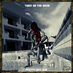 FREE DL : Tiger On The Moon - Pretty Boy Dub (original mix)