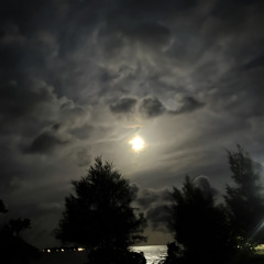 Dhekilaa Hitey Vany by ayya