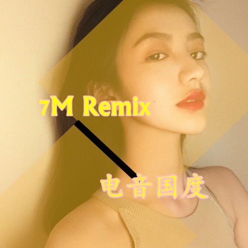 梦里寻他千百度 (Remix)