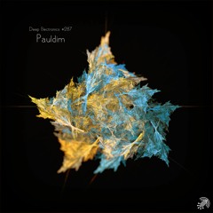 Deep Electronics Podcast # 287 - Pauldim