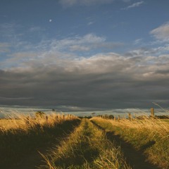 Faraway Voices
