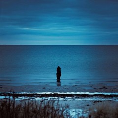 Steven Wilson - Deform To Form A sentimental Star