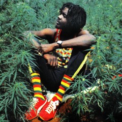 BEST OF PETER TOSH CHAPTER 2
