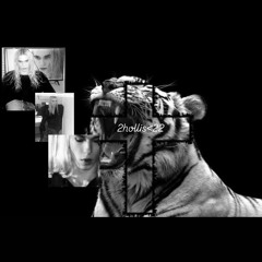 2hollis archives