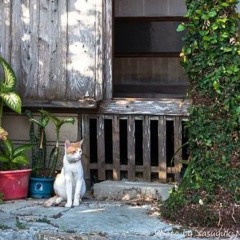 NST 2023  (2) - Set nhạc trung / 想让全世界都知道我爱你...