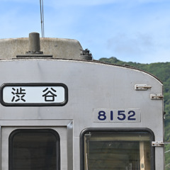 izucitrus(進捗)